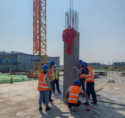 兩載奮斗鑄就嶄新名片 裝配式建筑施工墻內(nèi)開花墻外香