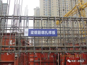 綠色引領，智慧建造 陜建二建集團紫薇東進項目成就精品工程，榮膺2017年西安市文明工地示范觀摩會舉辦地